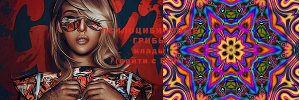 мет Аркадак