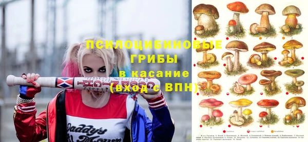 а пвп мука Арсеньев