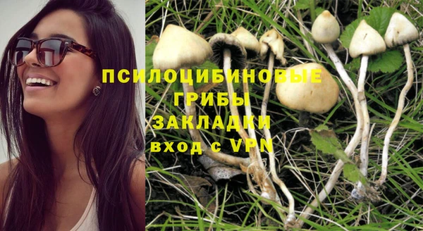 индика Армянск