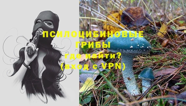 мет Аркадак