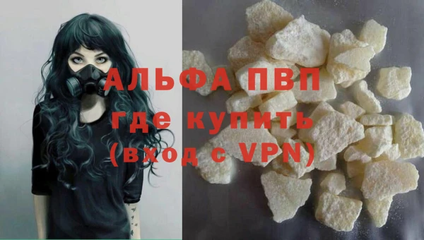 индика Армянск